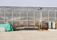 Retractable Solar PV System Single Span Greenhouse Galvanized Mg - Zn Plating